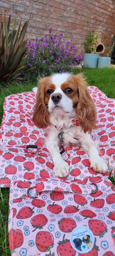 Summer Strawberries Pawtastic Travel Mats