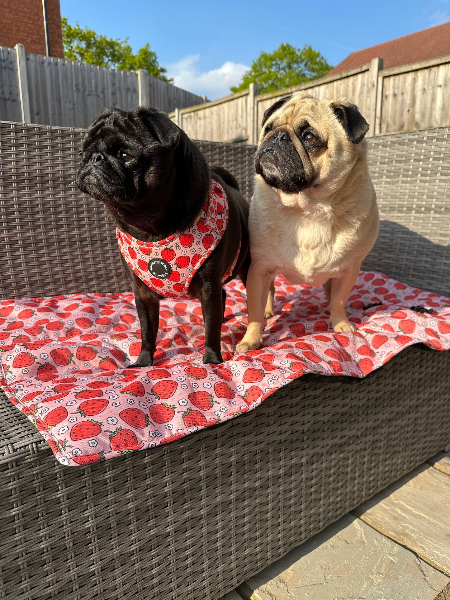 Summer Strawberries Pawtastic Travel Mats