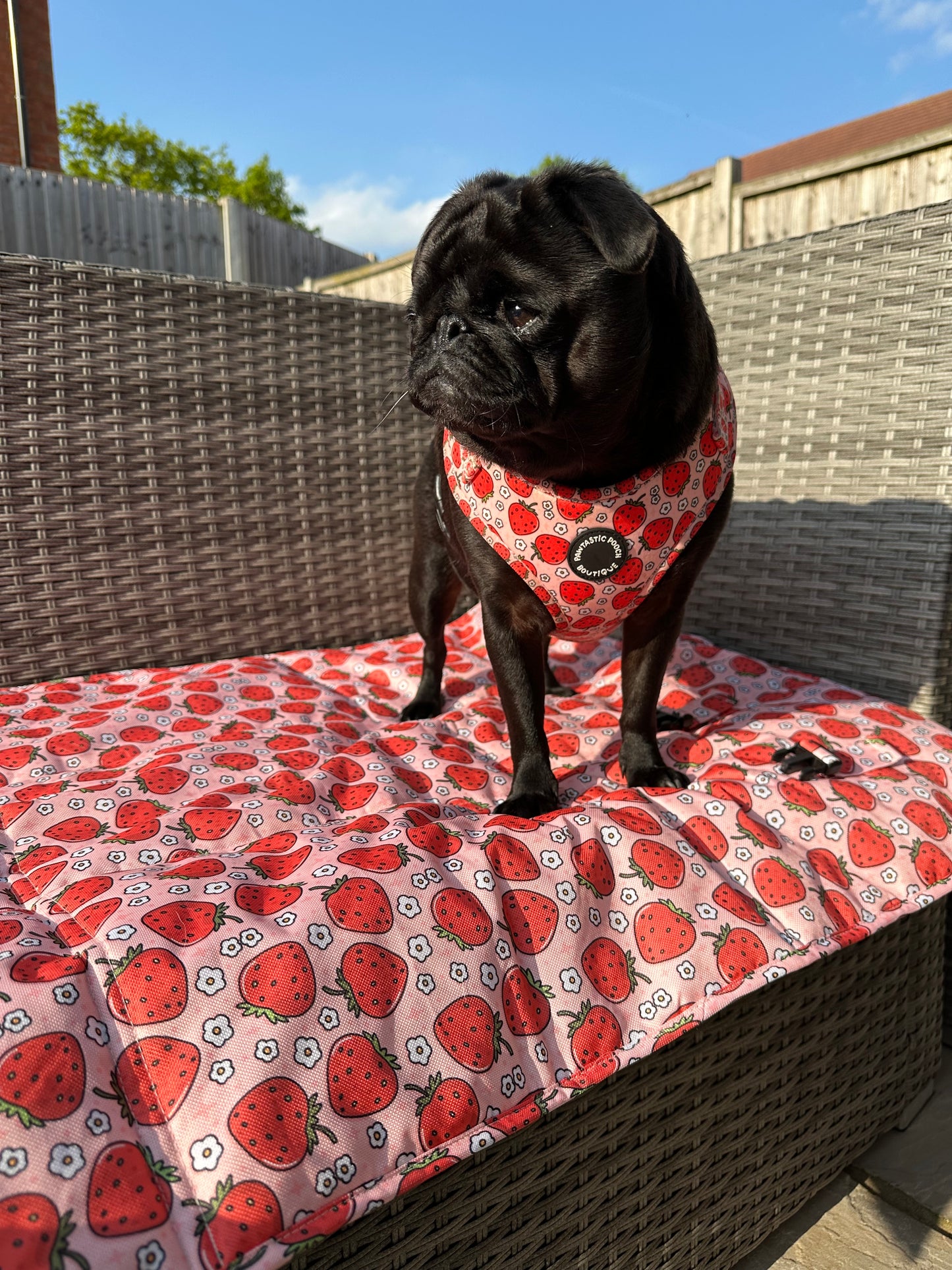 Summer Strawberries Pawtastic Travel Mats