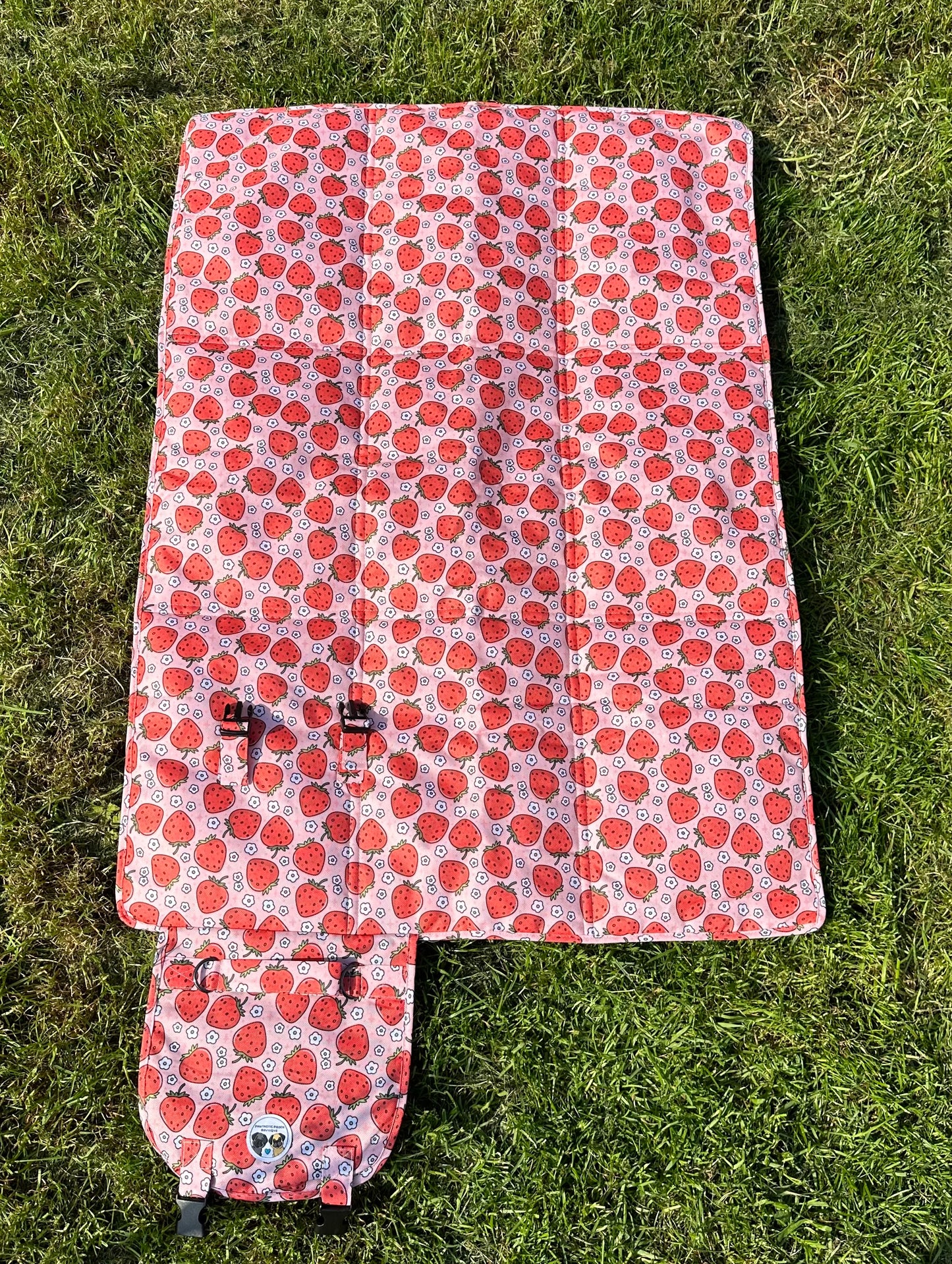 Summer Strawberries Pawtastic Travel Mats