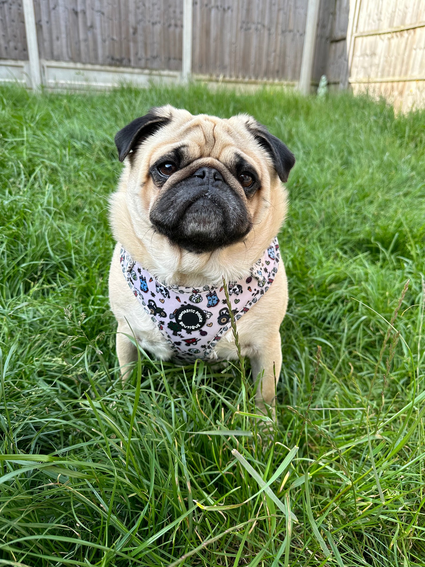 Farmyard Bound Harness