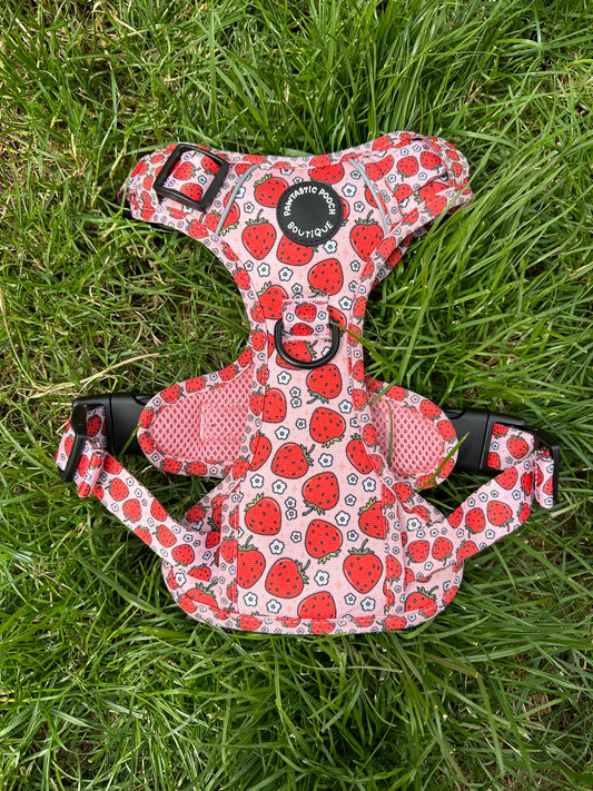 Pawtastic Tough Harness - Summer Strawberries