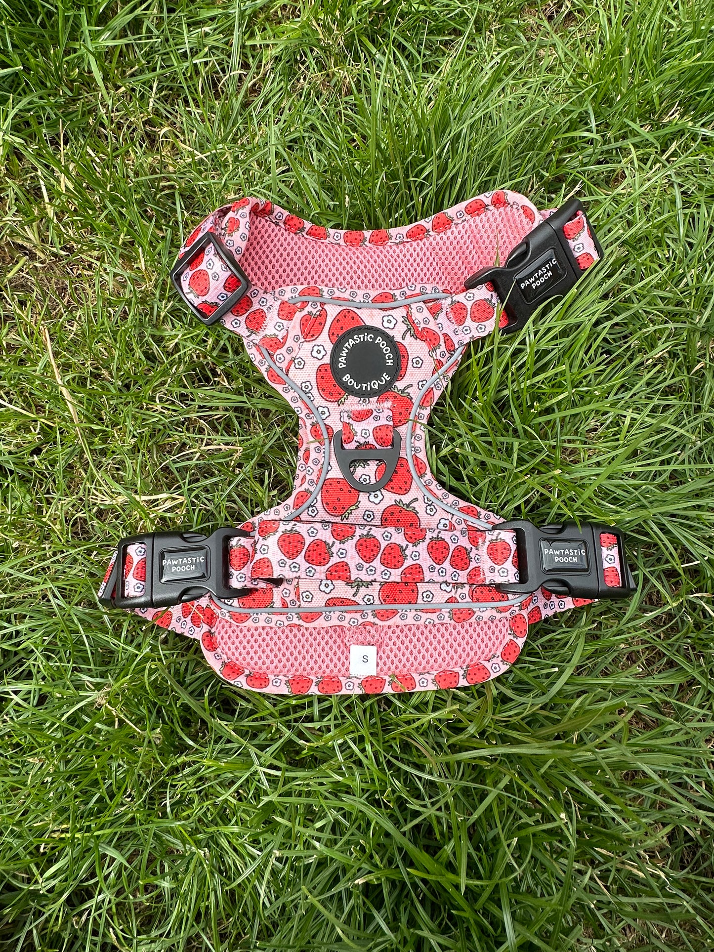 Pawtastic Tough Harness - Summer Strawberries