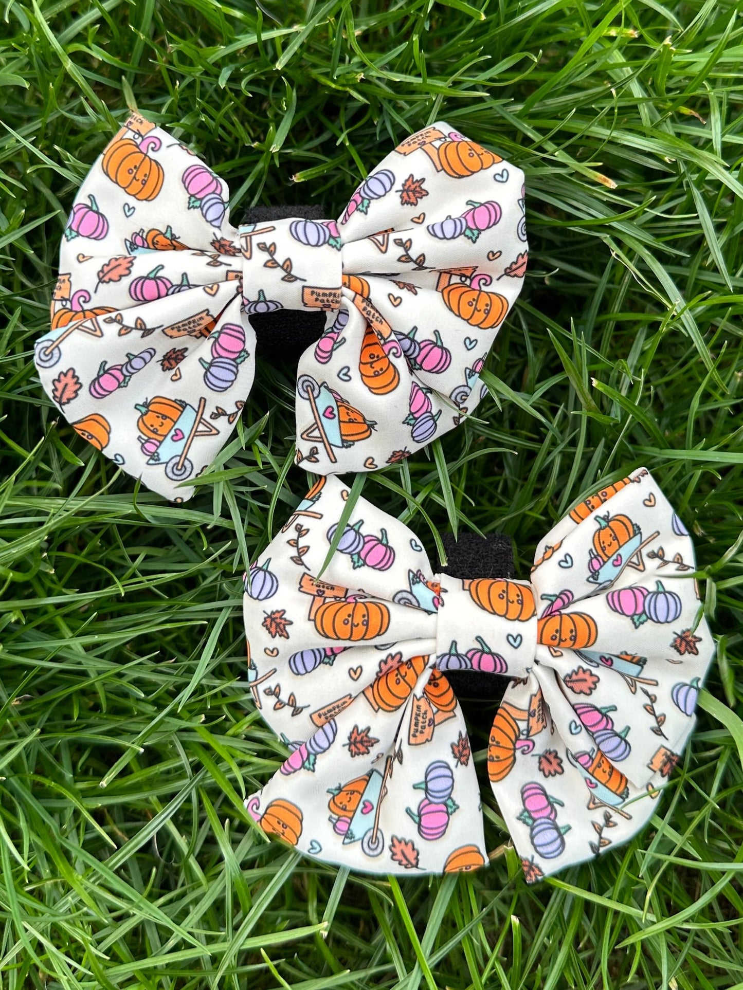 Hello Pumpkin Sailor Bow