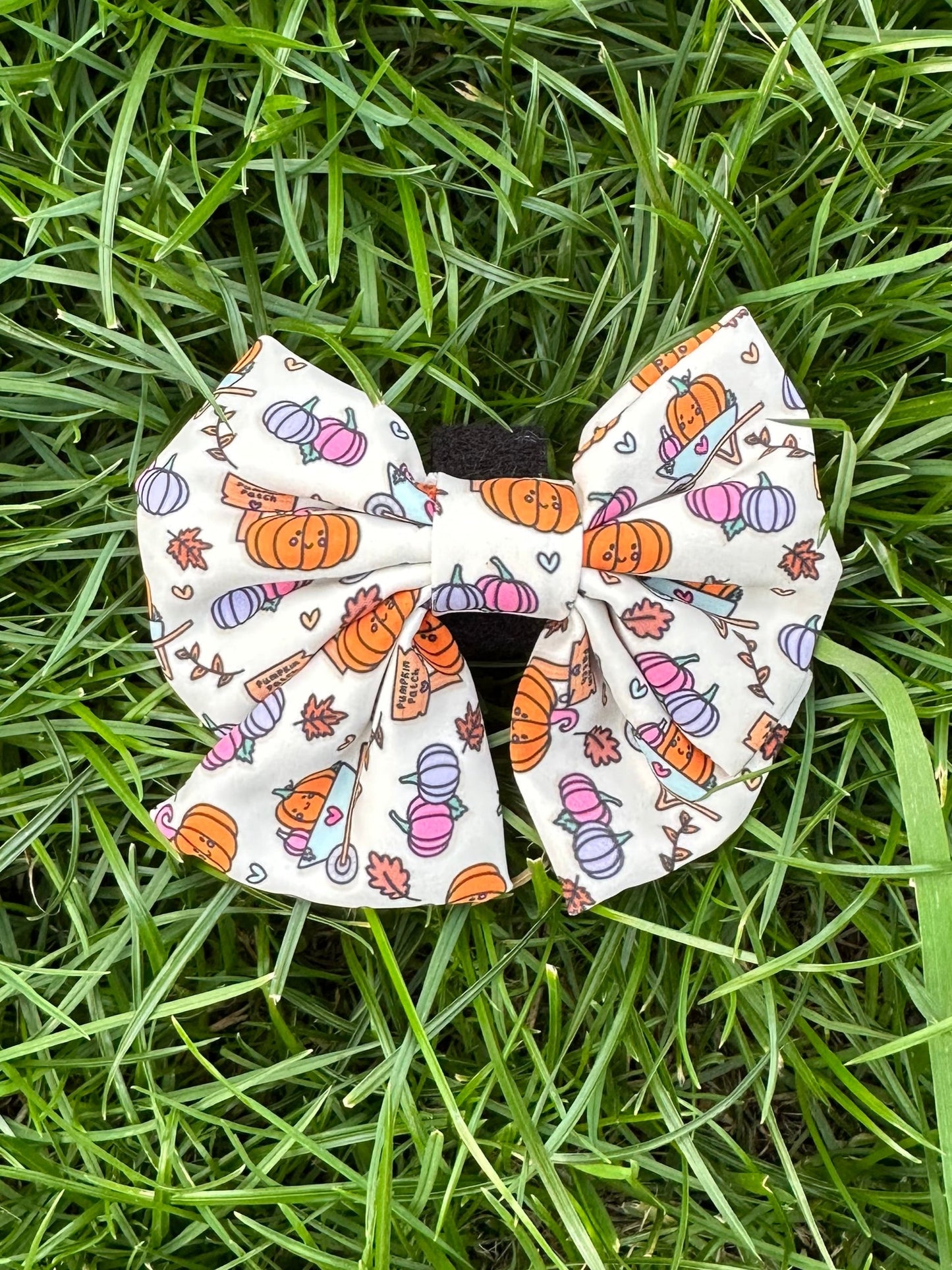 Hello Pumpkin Sailor Bow