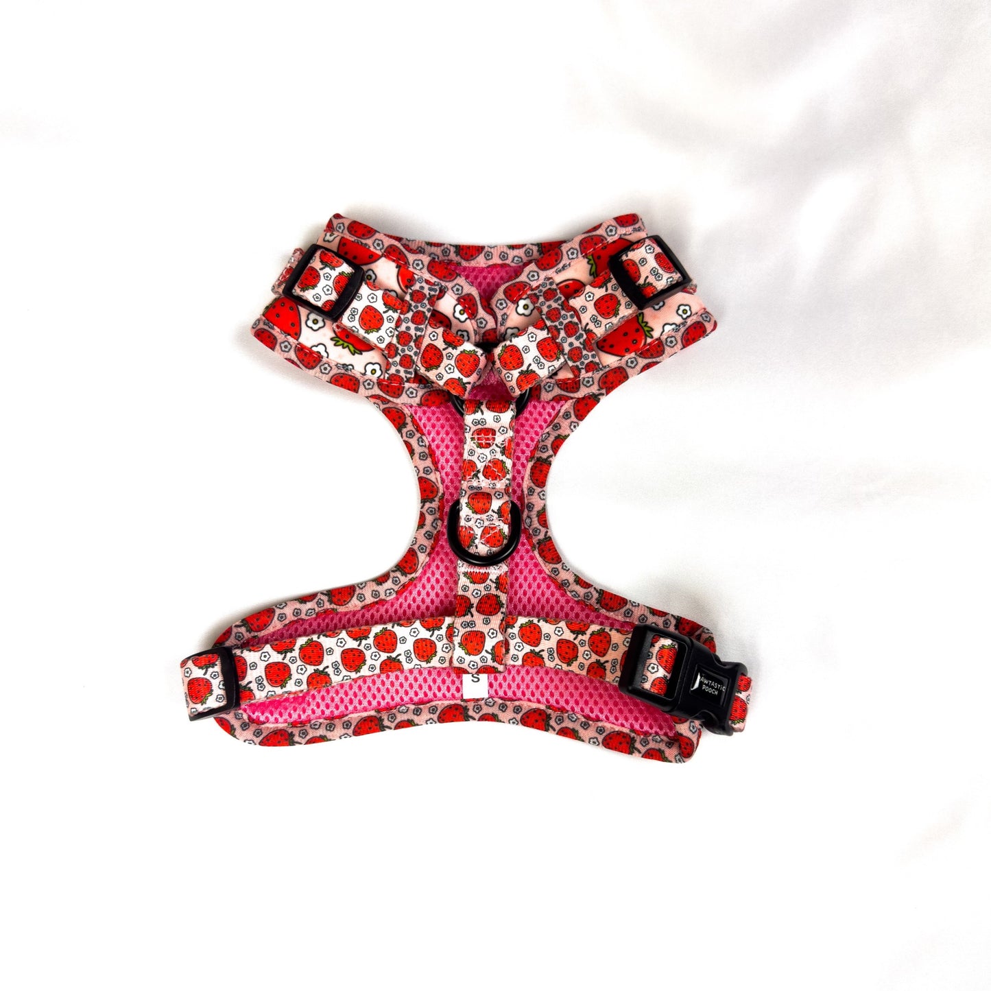 Summer Strawberries Harness