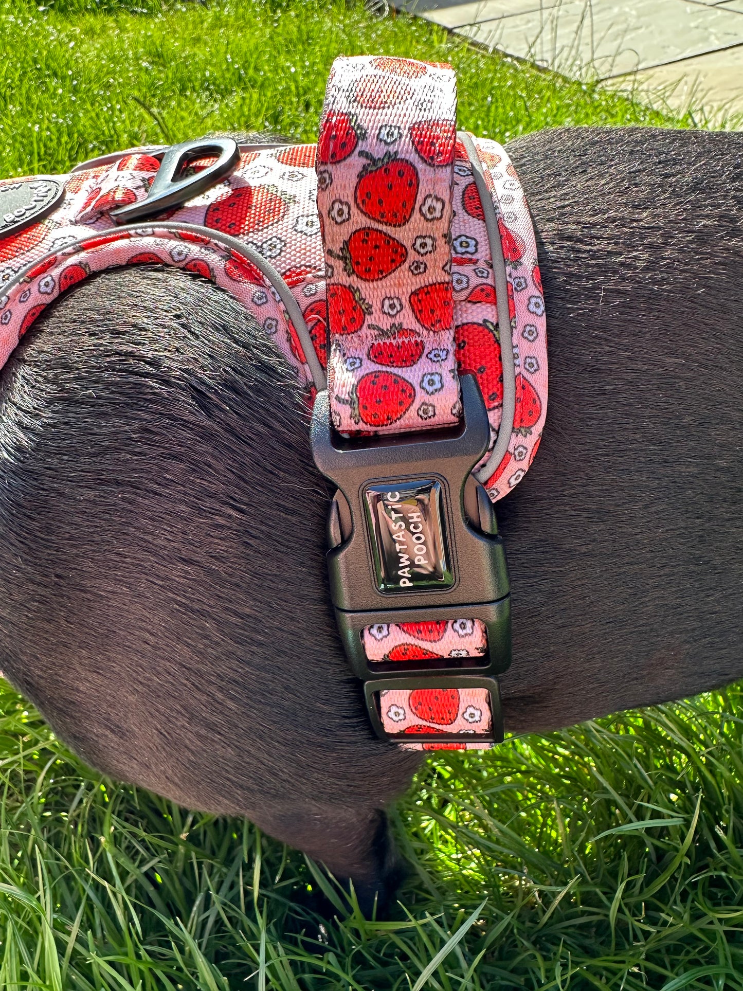 Pawtastic Tough Harness - Summer Strawberries