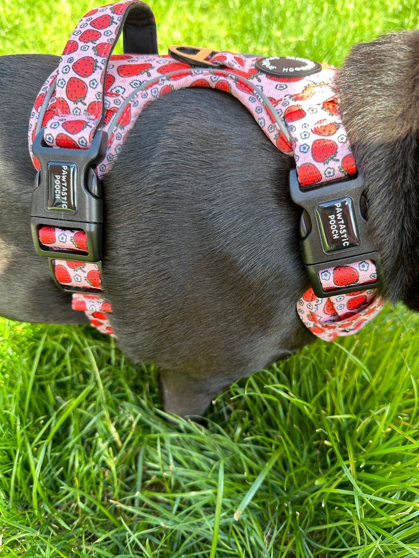 Pawtastic Tough Harness - Summer Strawberries