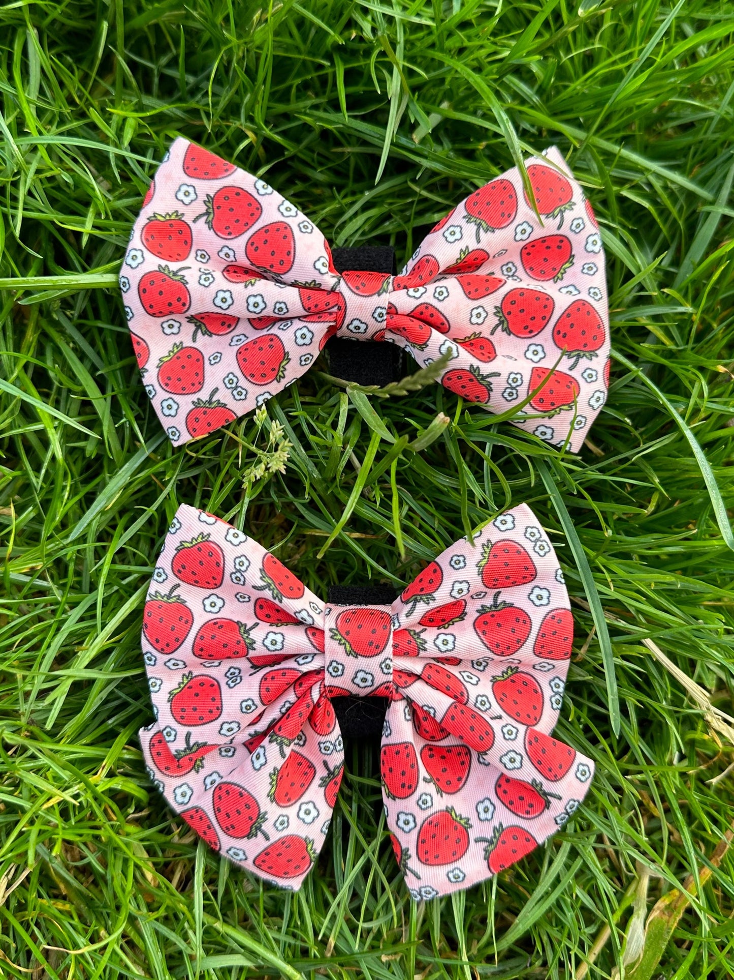 Summer Strawberries Bow